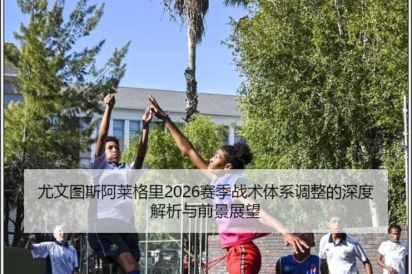 you-wen-tu-si-a-lai-ge-li-sai-ji-zhan-shu-ti-xi-tiao-zheng-de-shen-du-jie-xi-yu-qian-jing-zhan-wang-2-337.jpg